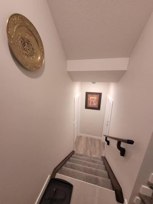 Cozy Brand New 2 Bedroom In Appartement